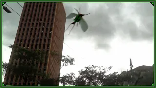 Mysterious giant creature in a building 2021 Real ?