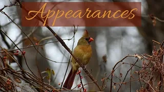 Appearances