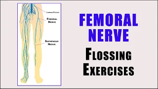 Nerve Glides | Flossing Exercises for FEMORAL NERVE ENTRAPMENT