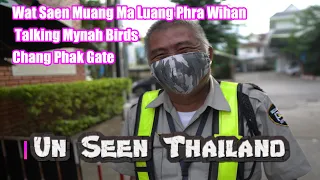 Mynah Birds, with a vocabulary , Chang Phuak Gate , Wat Saen Muang Ma Luang Phra Wihan , Chiang Mai