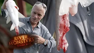 Catch Eaten Alive While Hooked | River Monsters