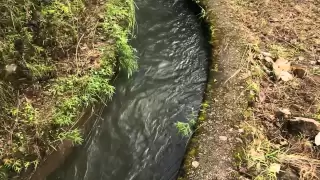 Nepal Micro-Hydro