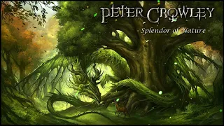 (Epic Celtic Music) - Splendor of Nature -