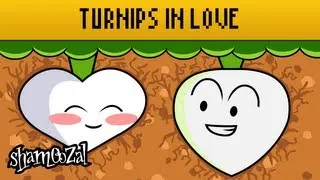 Turnips in Love (Super Mario Bros. 2)  - Read Only Memory from GoNintendo.com and Shamoozal.com