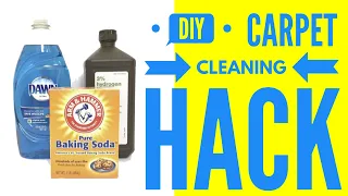 DIY CARPET CLEANING HACK 2020 | HOT TEA WITH LEA BEE