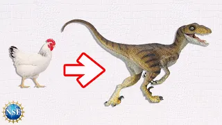 How Did Dinosaurs Move?