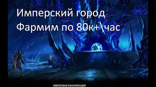 Фармим золото (способ 2). Поднимаем 80к+/час в Имперском городе. The Elder Scrolls Online (TESO)