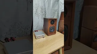 speakers 新品發布會 發燒音響 功放音響 音響設備 贝利音响Balee