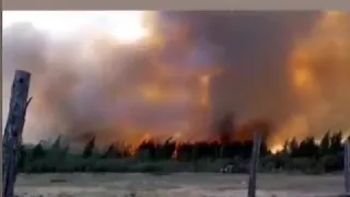 Видеофакт: В Якутии лесной пожар угрожает селу