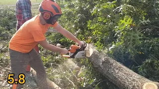 STIHL MS250 "HOT SAW"