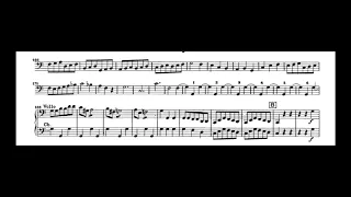 Beethoven symphony no.5 II mvt. Trio-double bass excerpt