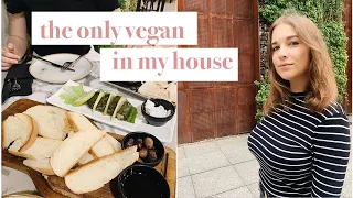 How to be vegan in a non-vegan family? Advice on dealing with non-vegan family and friends