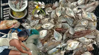 Halos pusit lahat sa unang Arya! Buhos biyaya parin naman.