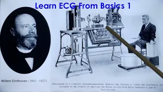 Learn ECG From Basics 1