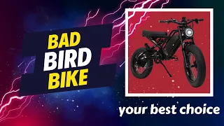 Your Best Choice Might Be The Bad Bird Bike