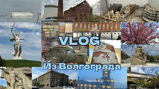 VLOG: моя поездка в Волгоград🌆/мои впечатления о городе❤️