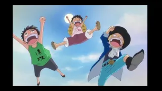 ASL One piece AMV / Counting Stars /