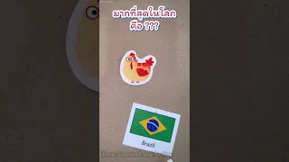 The world's largest exporter of chicken meat 🇧🇷🇧🇷🇧🇷#brazil #2023 #ความรู้ #country #shortfeed