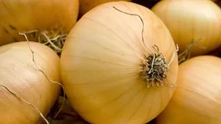 You've Been Storing Onions Wrong Your Entire Life