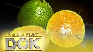 Salamat Dok: The health benefits of dalandan, calamansi, and pomelo
