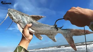 Using a HUGE Catfish For Bait? What Monster Will Eat This??