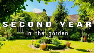Can you believe are Second Gardening year: Courtyard tour  #gardeningtips #gardenideas #gardendesign