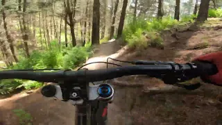 9 Different Trails At Christchurch Adventure Park In One Day!