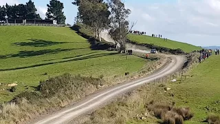 KURI BUSH crash otago rally 2018