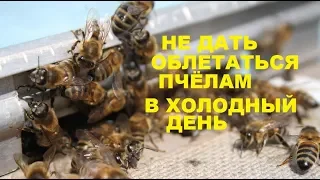 Как не дать пчёлам замёрзнуть при ране весеннем облёте. Сохранить пчелу от потерь.