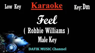 Feel (Karaoke) Robbie Williams/ Male Key/ Low Key Bm