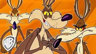 Looney Tunes en Français | Wile E Coyote le Génie | 30 Minutes | WB Kids