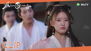 Clip | Sang Qi met the drunk Yunzhi! | WeTV | A Female Student Arrives at the Imperial College