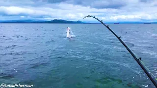 Sturgeon Monsters of the Columbia River!