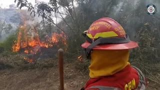 Curso Introductorio a Combatientes de Incendios Forestales