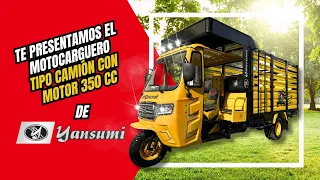 Moto carguero TIPO CAMIÓN 350cc| YANSUMI PERÚ