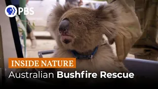 Australian Bushfire Rescue: Behind the Scenes