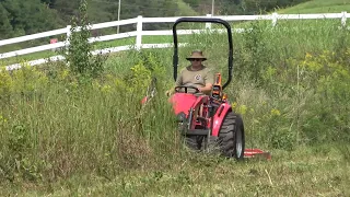 Brush Cutting Crazy Overgrown Field with Small Tractor?