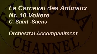 Tempo 70 bpm, Orchestral Accompaniment for Flute Solo The Carnival of the animals, Voliere