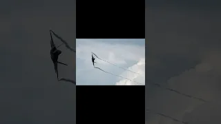 F22 Raptor : The Balloon Killer