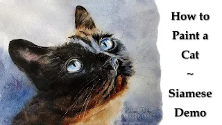 How to Watercolor Paint a Cat - Applehead Siamese Demo