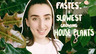 Fastest and Slowest Growing House Plants?! Common + Uncommon Plants 🌿🍑