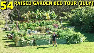 ALL 54 Raised Veggie Garden Beds Walk Around Tour (JULY)