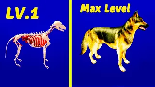 Idle Pet - Create cell by cell  MAX LEVEL Dog EVOLUTION  Idle Pet - Create cell by cell