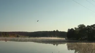 Природа в экране. Утренний пруд. Лето. / Nature in screen. Morning pond. Summer. 1080p