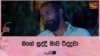 මගේ සුද්දි මාව රිද්දුවා