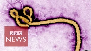 Ebola virus: How is it contracted? BBC News