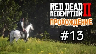 Прохождение Red Dead Redemption 2 #13