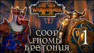 Total War: Warhammer 2 coop ► Клан Ангрунд и Бретония, #1