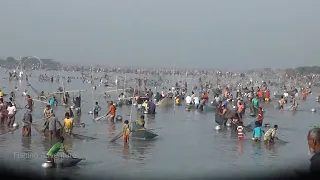 Primitive fishing - strongest fish vs strongest fisherman - millions of people catching fish