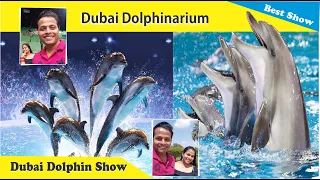 Dolphin Show Amazing Live Performance | Kids Adventure | Dubai Dolphinarium UAE | Himani Gupta